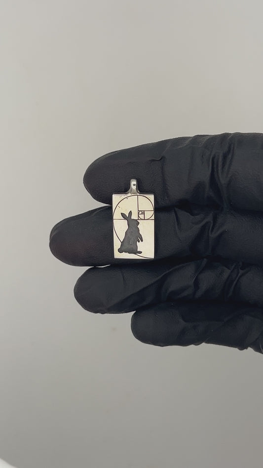 The White Rabbit